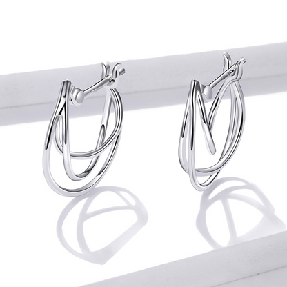 Braided Hoop Earrings