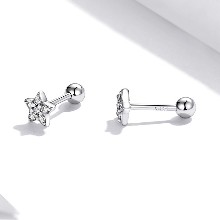 Small Star Earrings