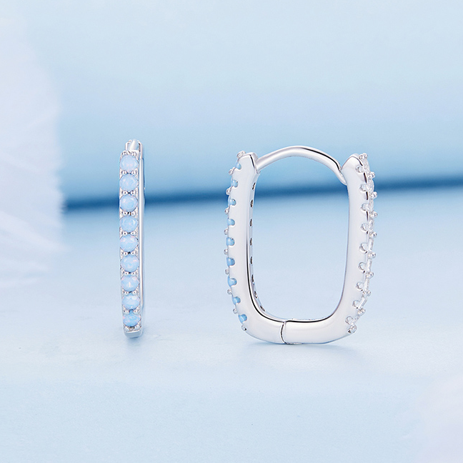 Two-Tone Rectangle Hoop Earrings