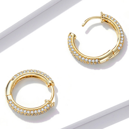 Shiny Hoop Earrings