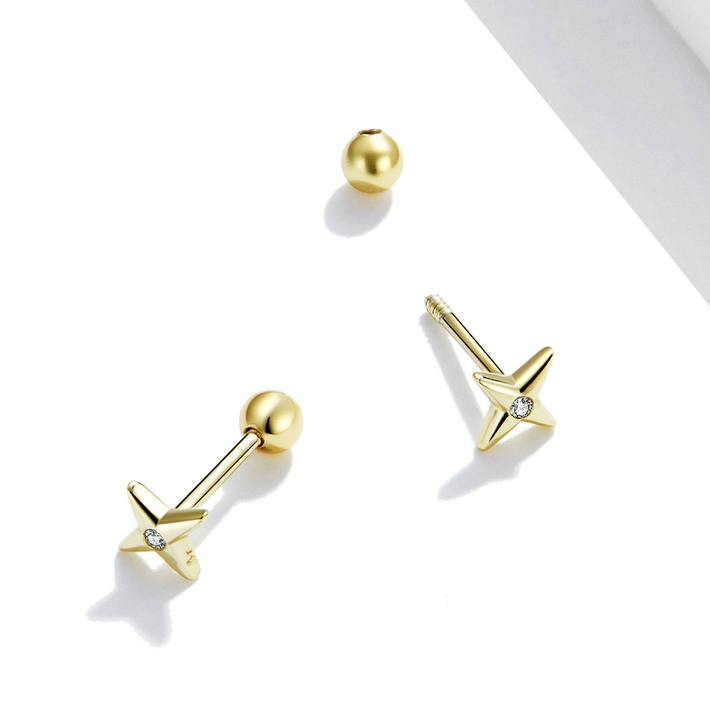 Small Star Earrings