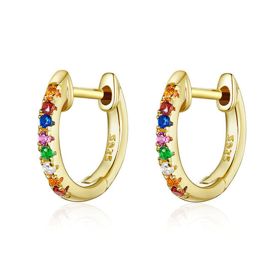 Rainbow Hoop Earrings