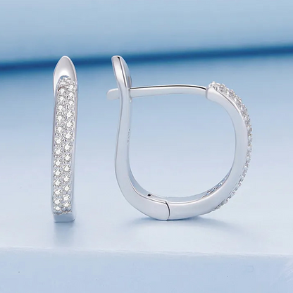 Brilliant Hoop Earrings