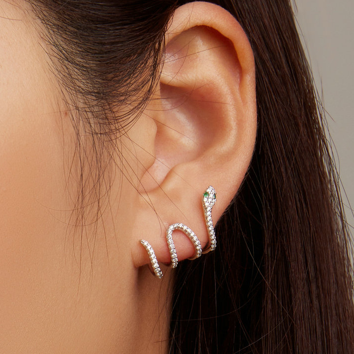 Shiny Snake Earrings