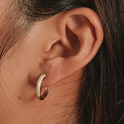 Shiny Hoop Earrings