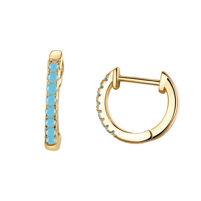 Sparkling Hoop Earrings